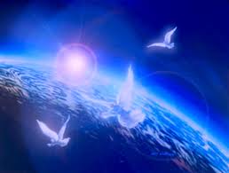 angel birds