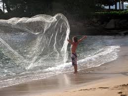 net net